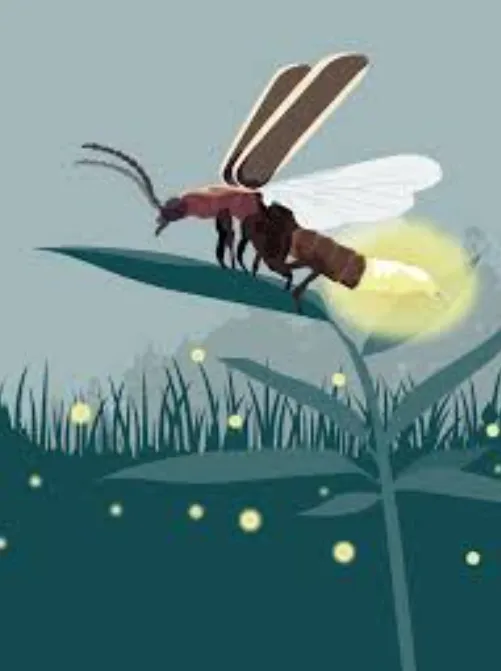 Life Cycle of Lightning Bug Fascinating Secrets of Fireflies You Need to Know (2026 Guide)
